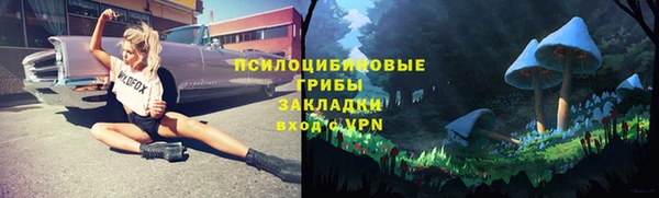спиды Белокуриха