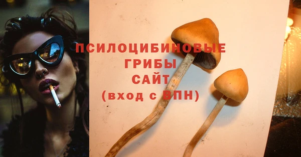 спиды Белокуриха