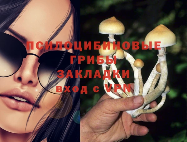 дживик Беломорск