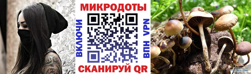 OMG маркетплейс  Королёв  Псилоцибиновые грибы мухоморы 